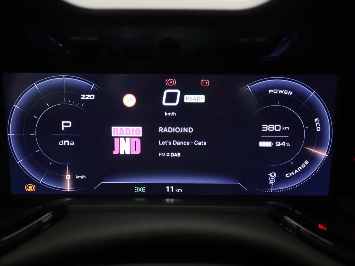 Elettrica 54 kWh | Direct Rijden | Apple Carplay & Android Auto | Parkeersensoren Achter | Cruise Control |
