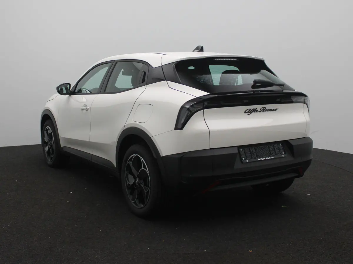 Elettrica 54 kWh | Direct Rijden | Apple Carplay & Android Auto | Parkeersensoren Achter | Cruise Control |