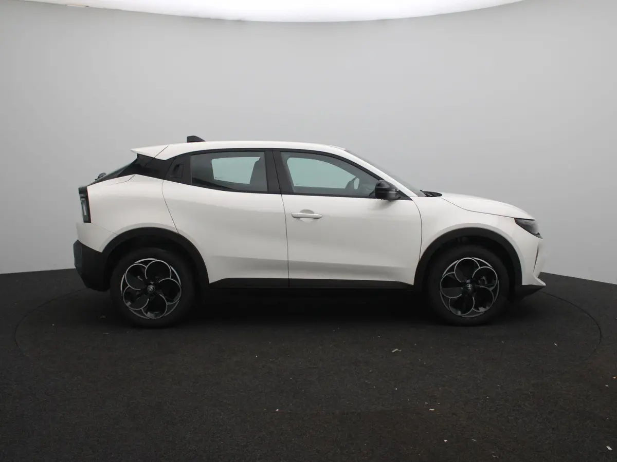 Elettrica 54 kWh | Direct Rijden | Apple Carplay & Android Auto | Parkeersensoren Achter | Cruise Control |
