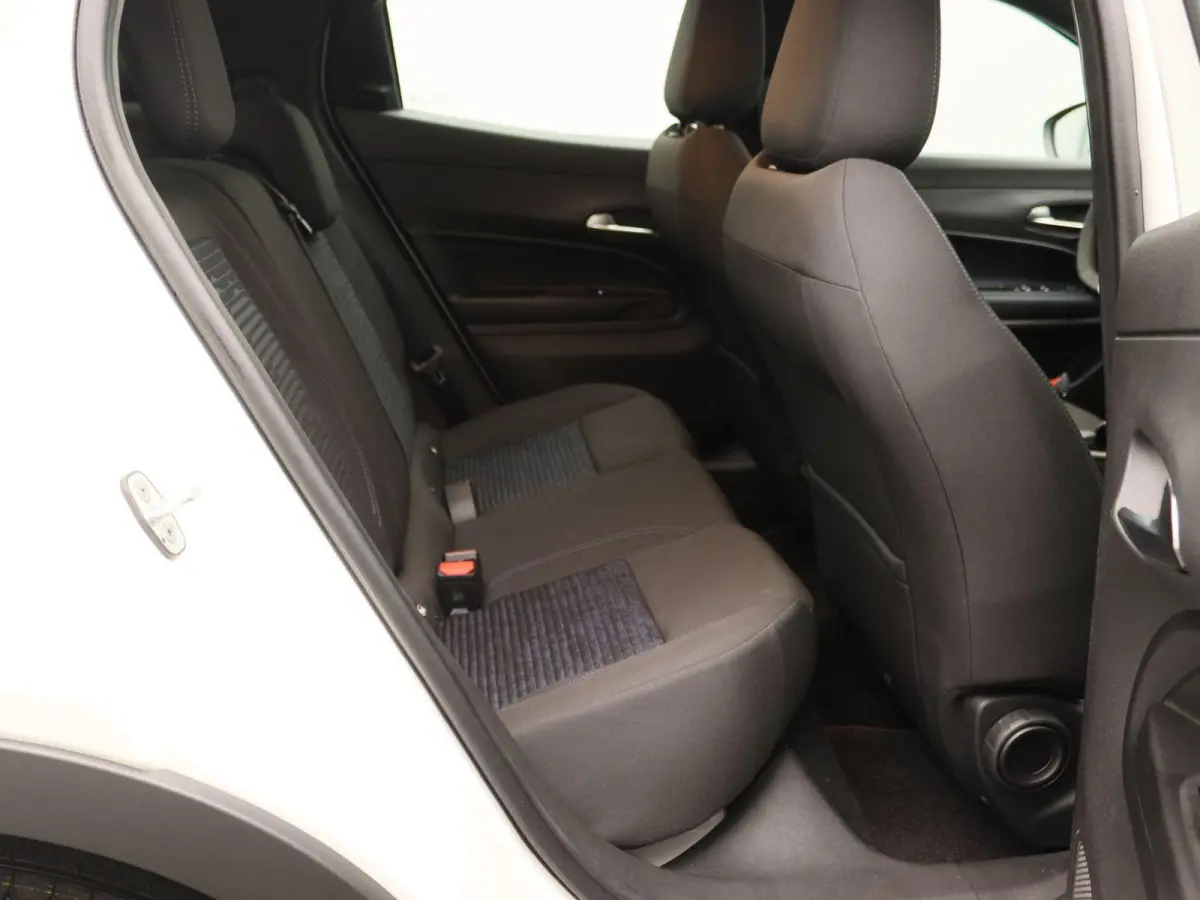 Elettrica 54 kWh | Direct Rijden | Apple Carplay & Android Auto | Parkeersensoren Achter | Cruise Control |