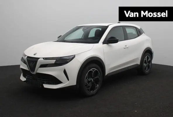 Elettrica 54 kWh | Direct Rijden | Apple Carplay & Android Auto | Parkeersensoren Achter | Cruise Control |