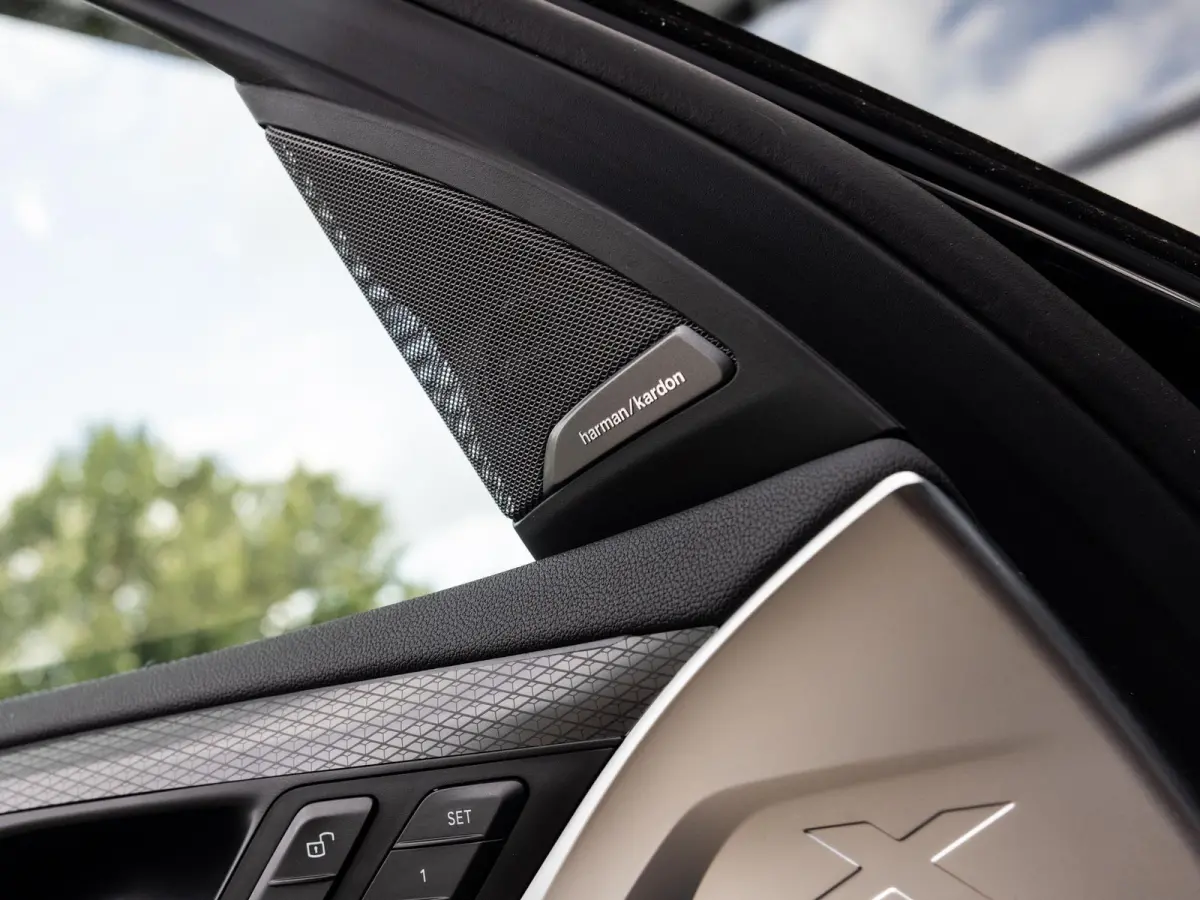 xDrive30e High Executive | M-SPORT | PANO-SCHUIFDAK | HARMAN KARDON | HEAD-UP | CAMERA | LEER