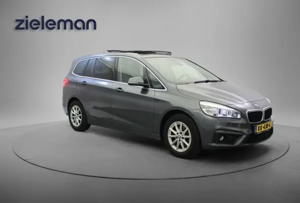 216i Centennial Executive 7 persoons - Panorama, Memory, Navi