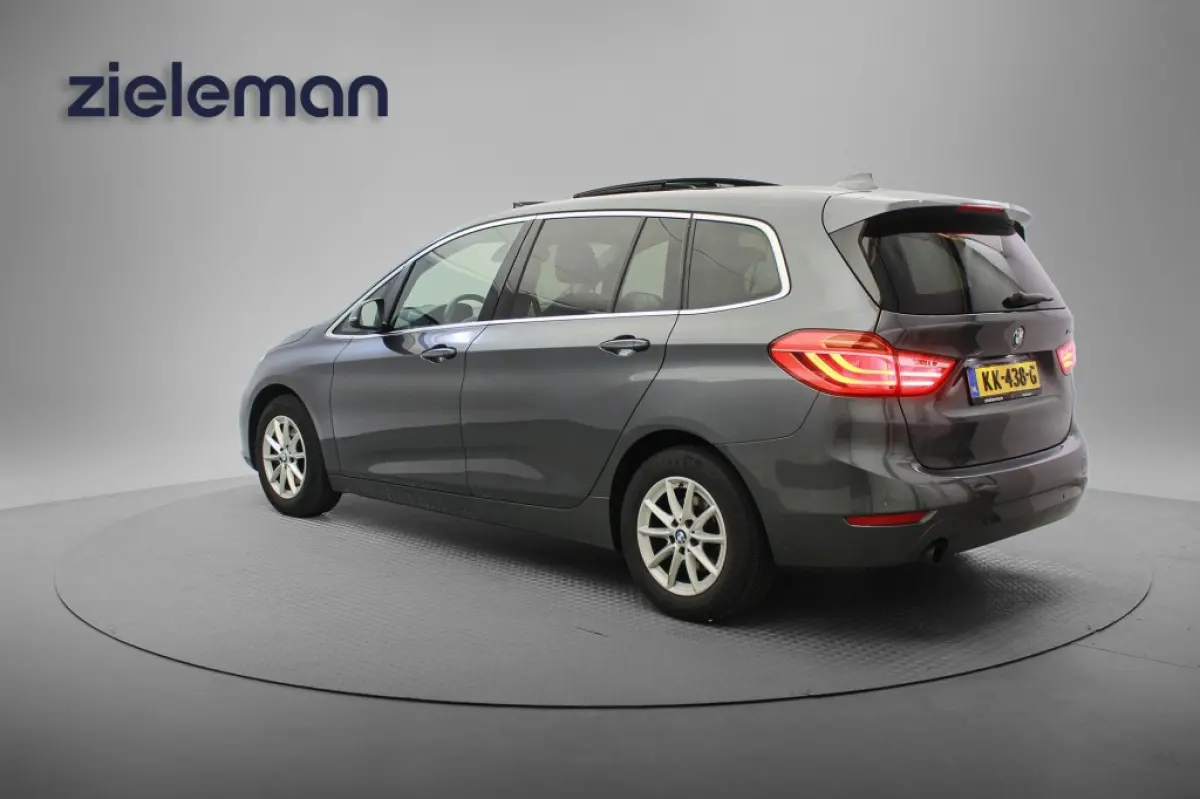 216i Centennial Executive 7 persoons - Panorama, Memory, Navi