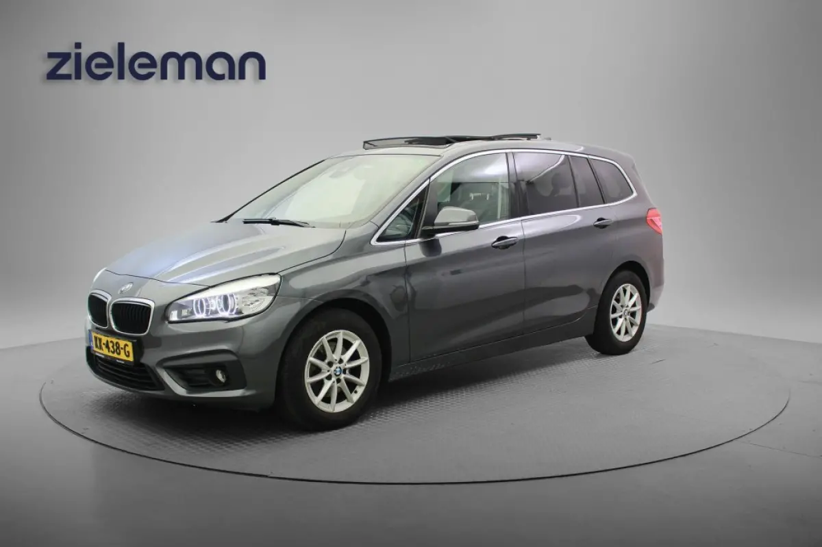 216i Centennial Executive 7 persoons - Panorama, Memory, Navi