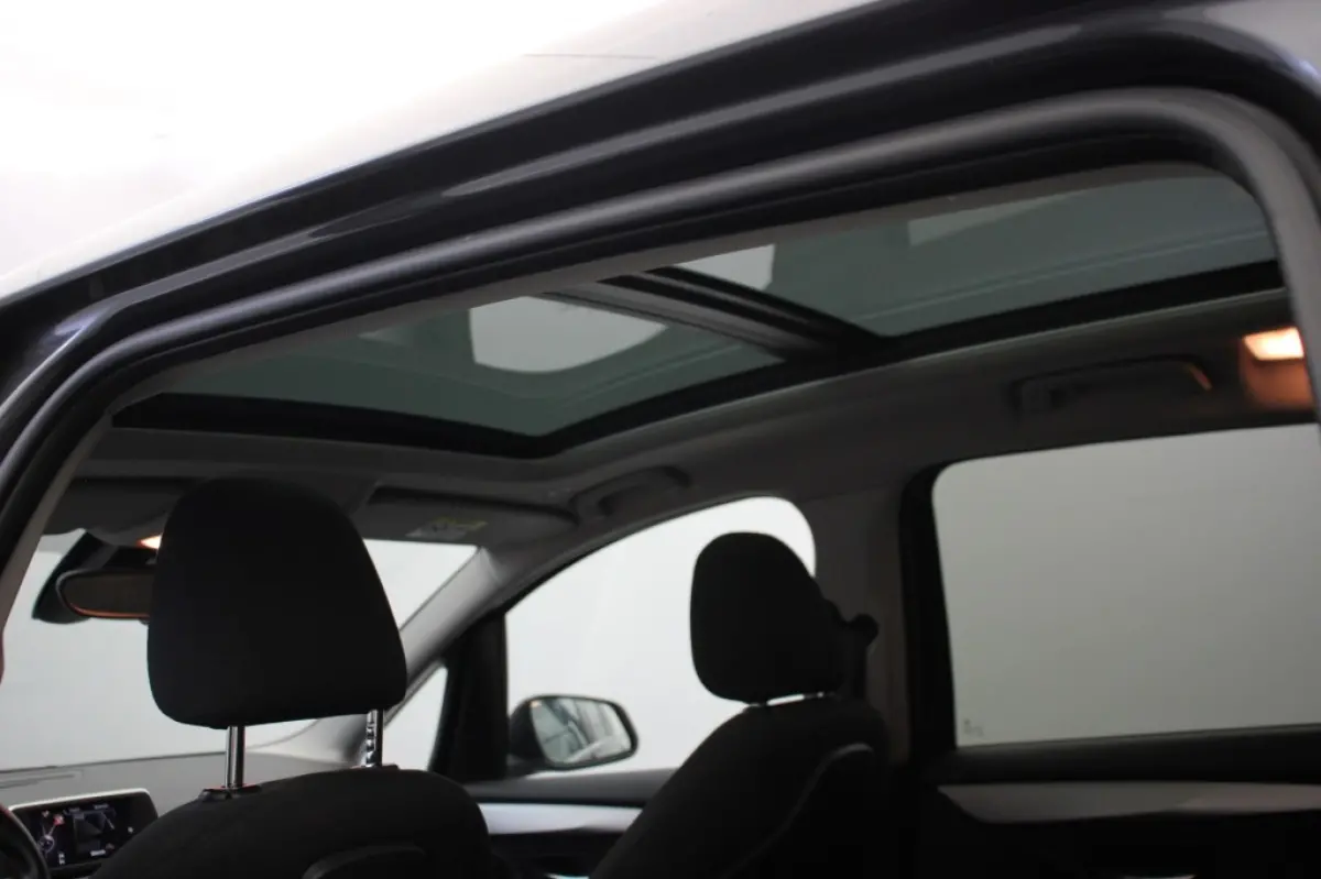 216i Centennial Executive 7 persoons - Panorama, Memory, Navi