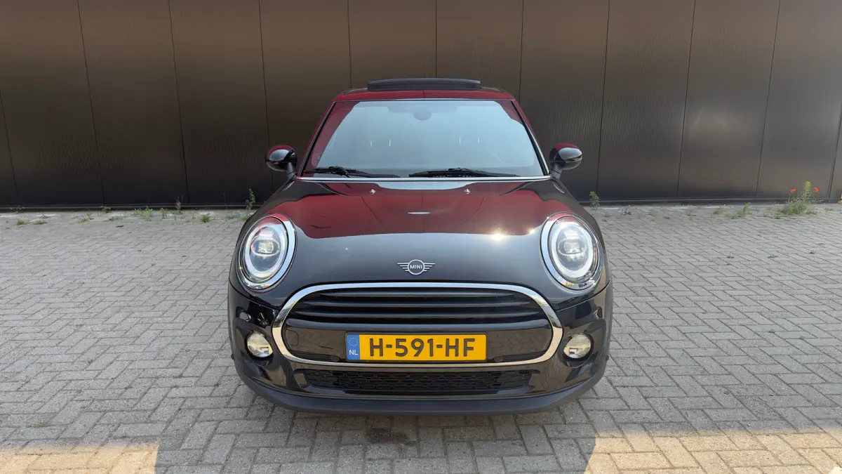 1.5 Cooper 60 Years Edition | Leder | Panoramadak | Harman/Kardon | Climate Control | CarPlay | Airco (automatisch) | Apple Carplay/Android Auto|telefoonintegratie premium | Buitenspiegels e