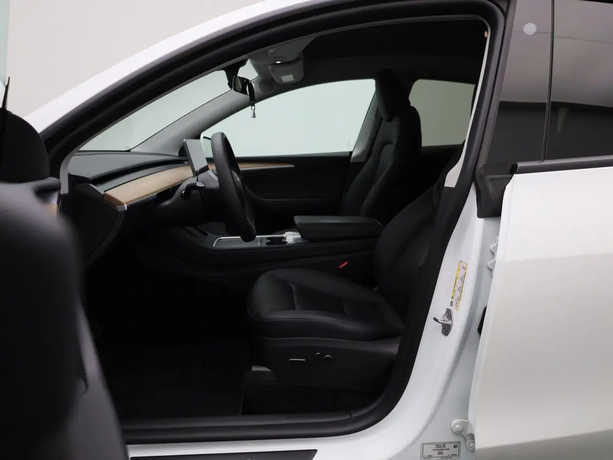 Premium Long Range RWD 75 kWh | PANO | ACC | Blindspot | Keyless | Stoelverarming | Lane Assist |
