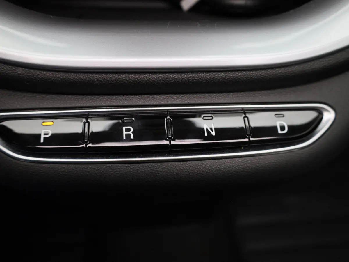 Icon 42 kWh | Cruise Control | Stoelverwarming | DAB | Apple Carplay/Android Auto | lichtmetalen velgen 16" |