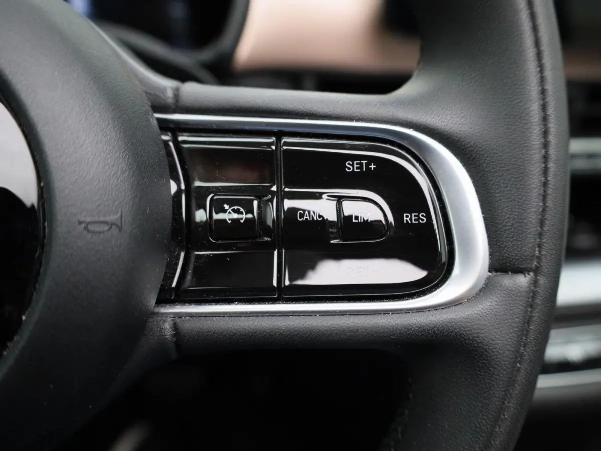 Icon 42 kWh | Cruise Control | Stoelverwarming | DAB | Apple Carplay/Android Auto | lichtmetalen velgen 16" |