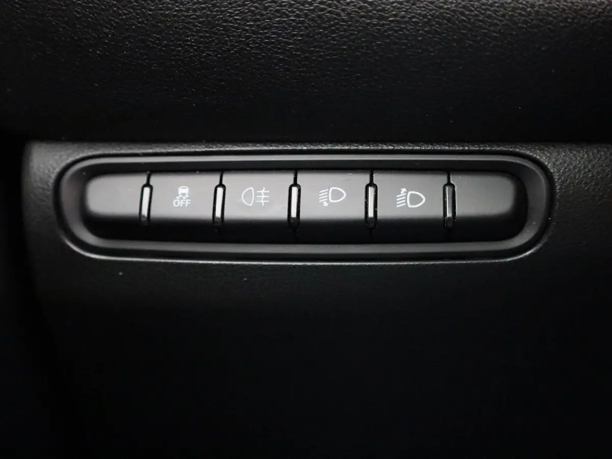 Icon 42 kWh | Cruise Control | Stoelverwarming | DAB | Apple Carplay/Android Auto | lichtmetalen velgen 16" |