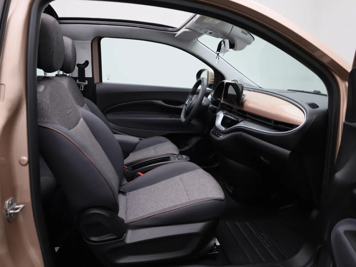 Icon 42 kWh | Cruise Control | Stoelverwarming | DAB | Apple Carplay/Android Auto | lichtmetalen velgen 16" |