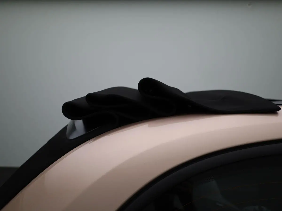 Icon 42 kWh | Cruise Control | Stoelverwarming | DAB | Apple Carplay/Android Auto | lichtmetalen velgen 16" |