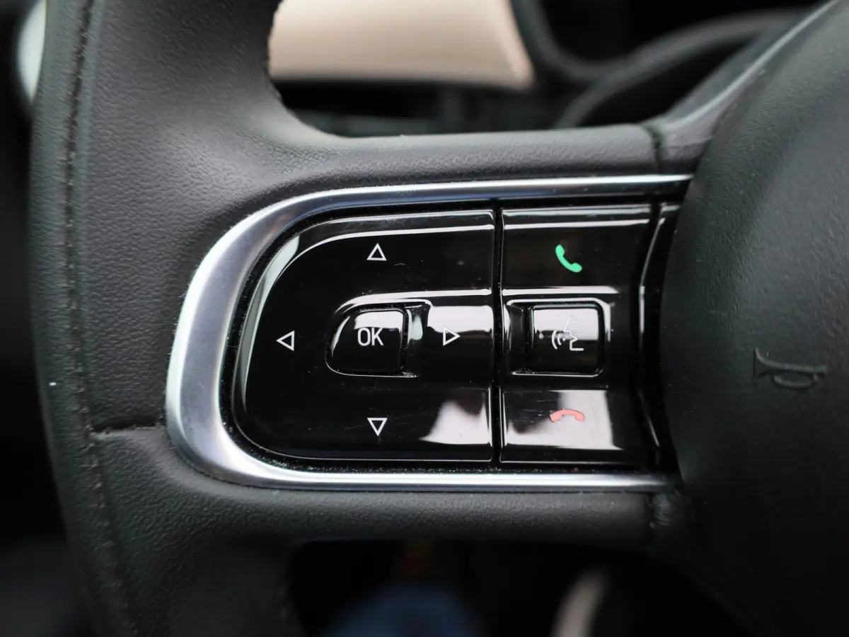 Icon 42 kWh | Cruise Control | Stoelverwarming | DAB | Apple Carplay/Android Auto | lichtmetalen velgen 16" |
