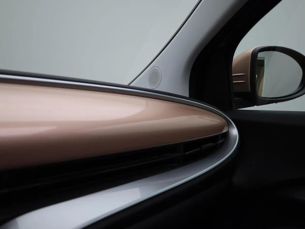 Icon 42 kWh | Cruise Control | Stoelverwarming | DAB | Apple Carplay/Android Auto | lichtmetalen velgen 16" |