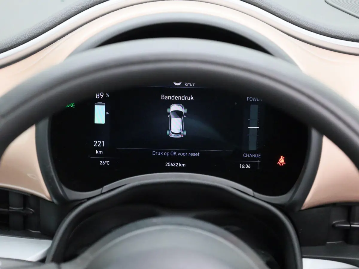 Icon 42 kWh | Cruise Control | Stoelverwarming | DAB | Apple Carplay/Android Auto | lichtmetalen velgen 16" |