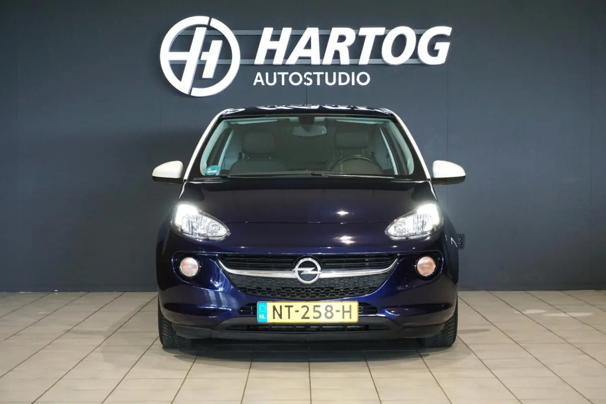 1.0 Turbo Glam Favourite + LEDER / PANO / APPLE CARPLAY