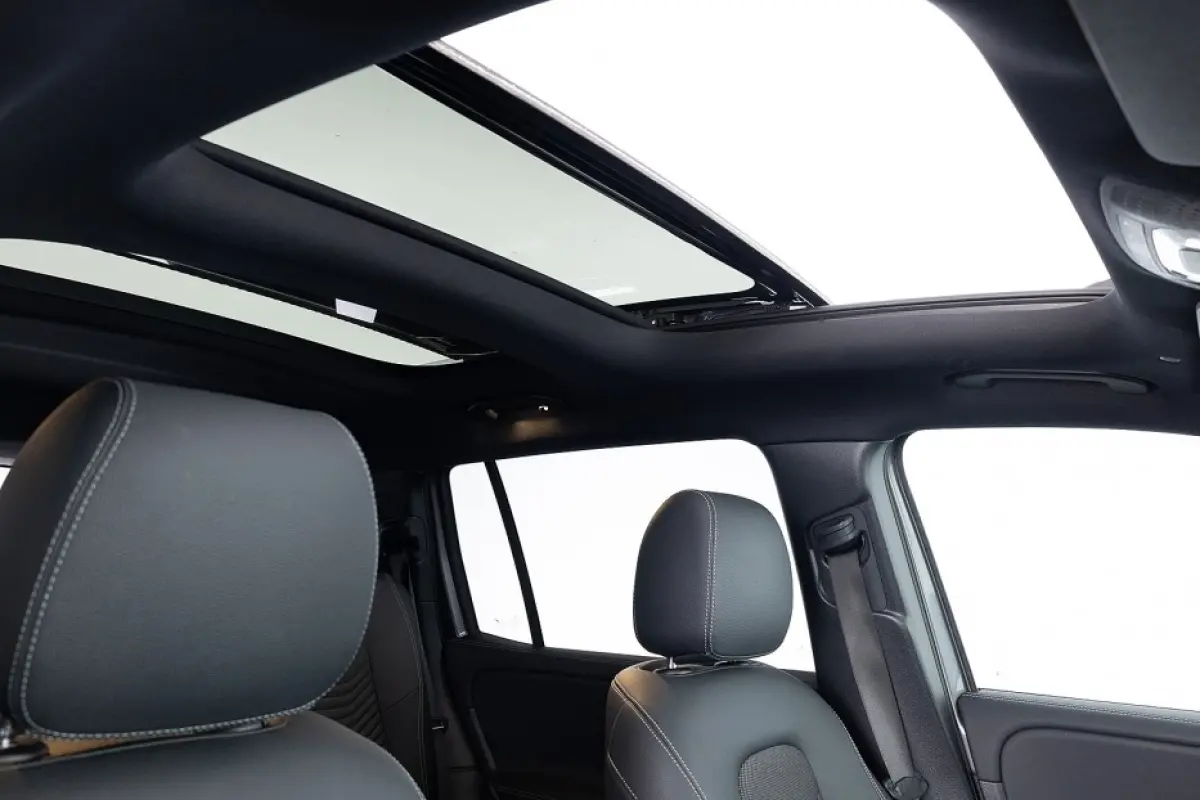 250+ Progressive Line 7p. 71kWh *SOH 99%* PANORAMADAK | Half LEDER | CAMERA | SFEER