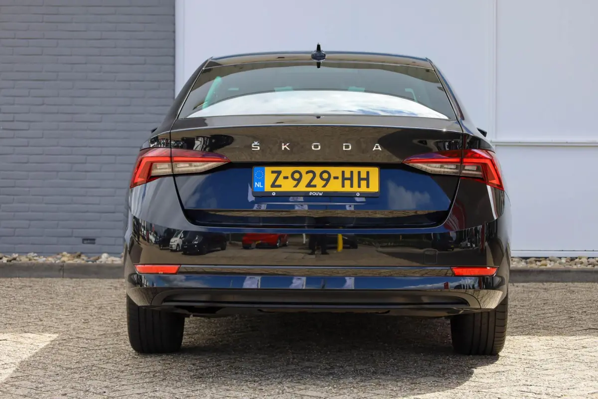 1.0 TSI 110pk Business Edition | Parkeersensoren | 18'' Velgen | LED Verlichting