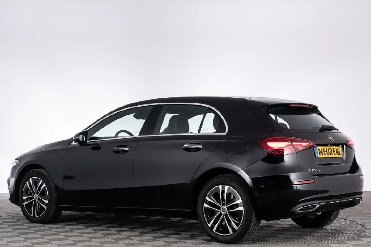 250 e Business Line | Full LED | Half LEDER | SFEER | NAVI | PHEV