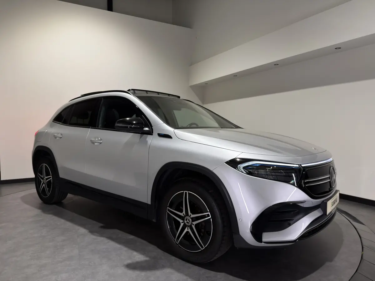 300 4MATIC Business Solution 67 kWh | SOH 94,2 % | AMG Styling