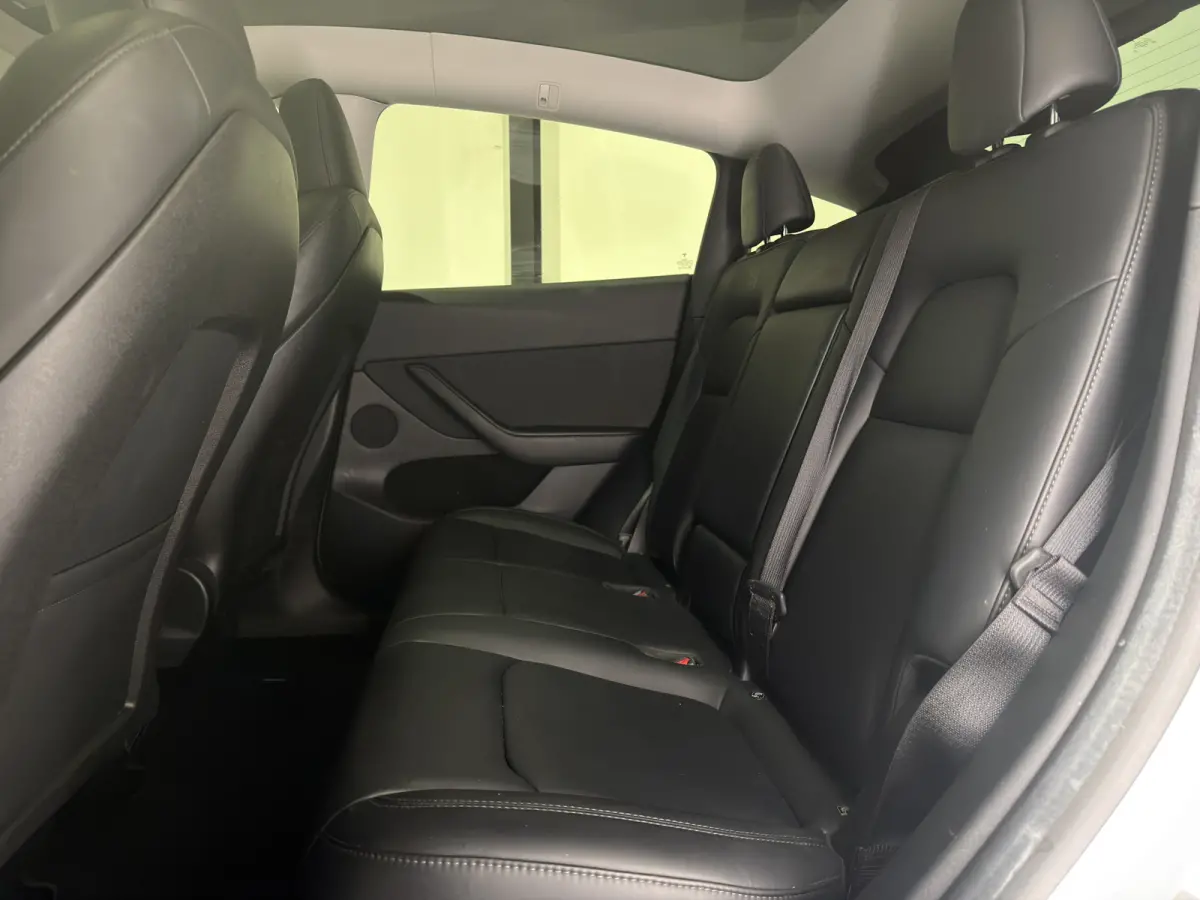 RWD 58 kWh | SOH 92,2 % | Cruise Control Adaptief