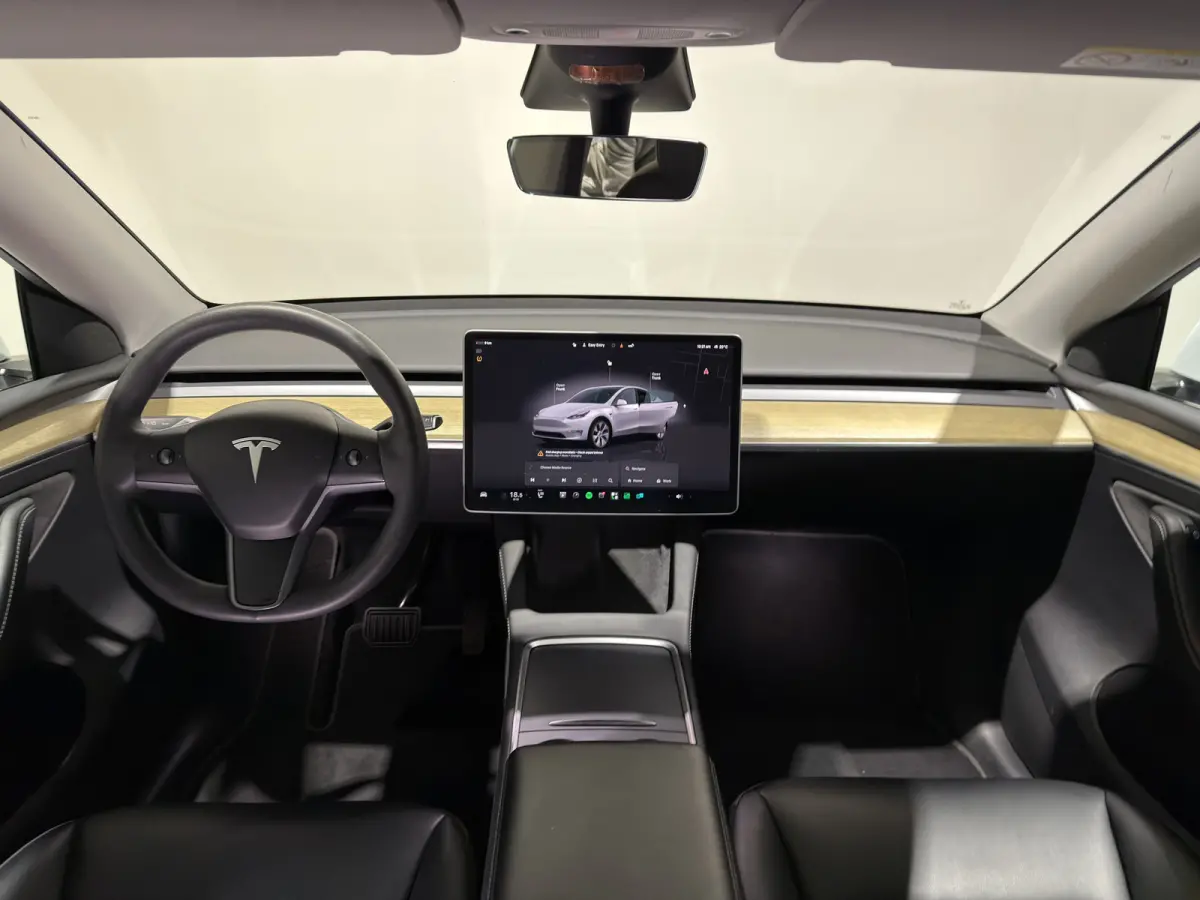 RWD 58 kWh | SOH 92,2 % | Cruise Control Adaptief