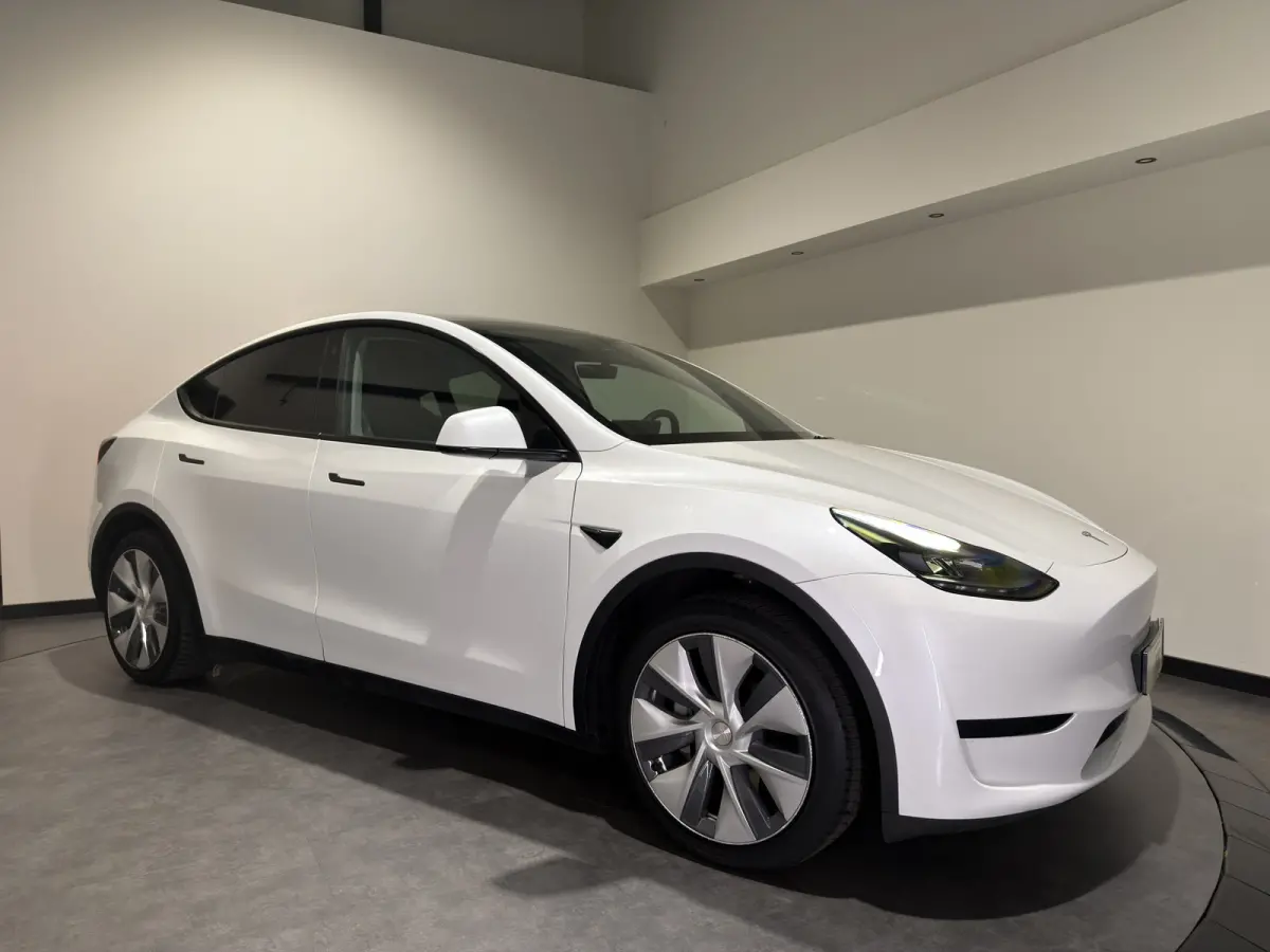 RWD 58 kWh | SOH 92,2 % | Cruise Control Adaptief
