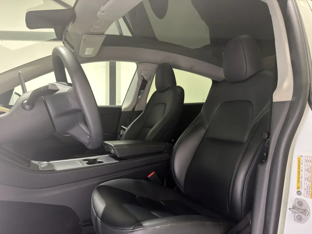 RWD 58 kWh | SOH 92,2 % | Cruise Control Adaptief