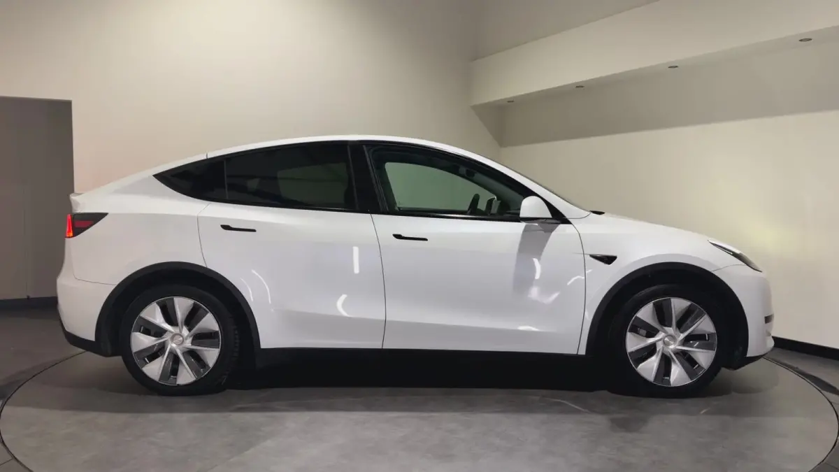 RWD 58 kWh | SOH 92,2 % | Cruise Control Adaptief
