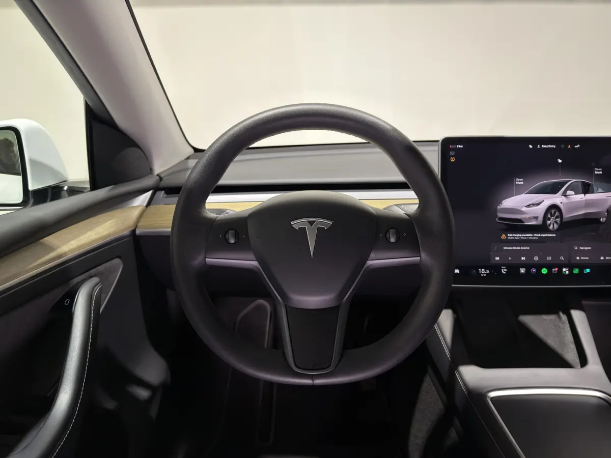 RWD 58 kWh | SOH 92,2 % | Cruise Control Adaptief