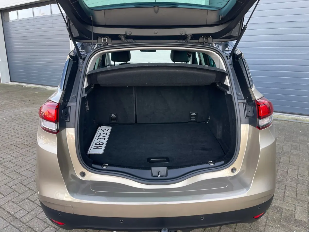 1.2 TCe Intens/Dealer-onderhouden/Camera/Navi/Cruise-c/Climate-c/Trekaak/kylles/Park Assist