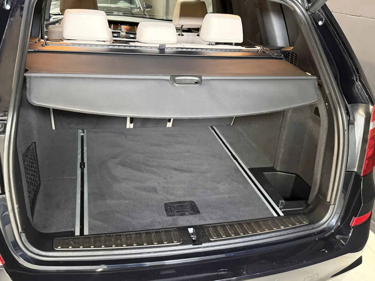 xDrive20i Centennial High Executive | M-Sport | Panoramadak | Camera