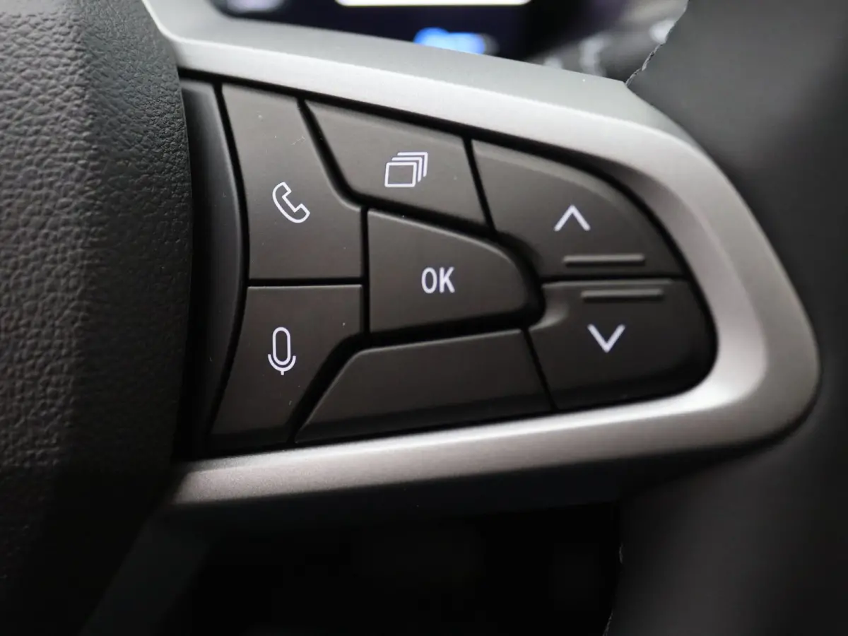 Hybrid 155pk Limited Edition Rondomzicht camera | Apple Carplay/Android Auto