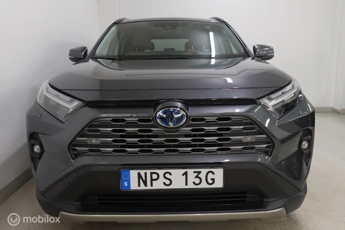 2.5 Hybrid AWD Executive, leer