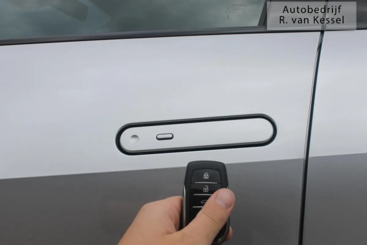 2.0 Plug-in Hybrid 220 First Edition I 360 Camera I NL-auto