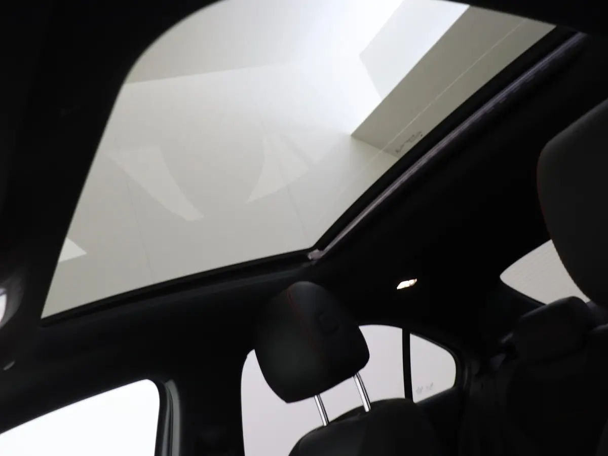 250 e Business Solution AMG Limited Mountaingrijs Magno /Panoramadak /Memory