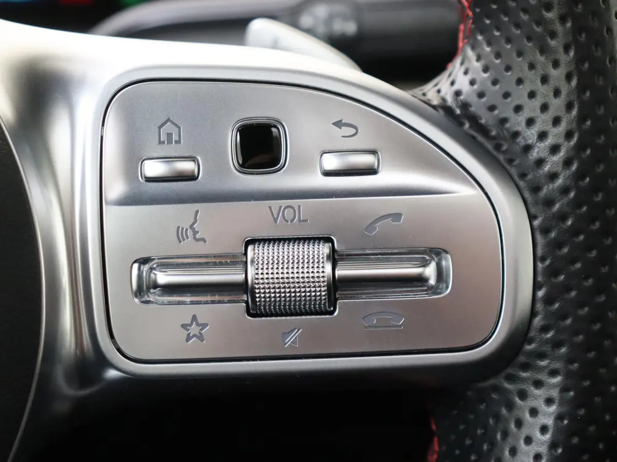 250 e Business Solution AMG Limited Mountaingrijs Magno /Panoramadak /Memory