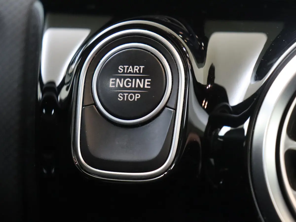 250 e Business Solution AMG Limited Mountaingrijs Magno /Panoramadak /Memory
