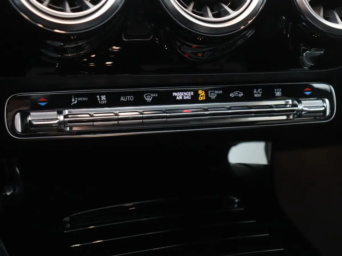 250 e Business Solution AMG Limited Mountaingrijs Magno /Panoramadak /Memory