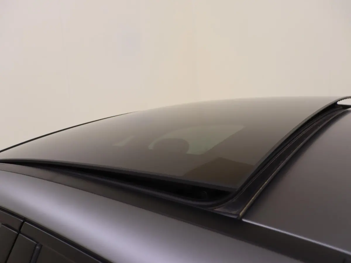 250 e Business Solution AMG Limited Mountaingrijs Magno /Panoramadak /Memory