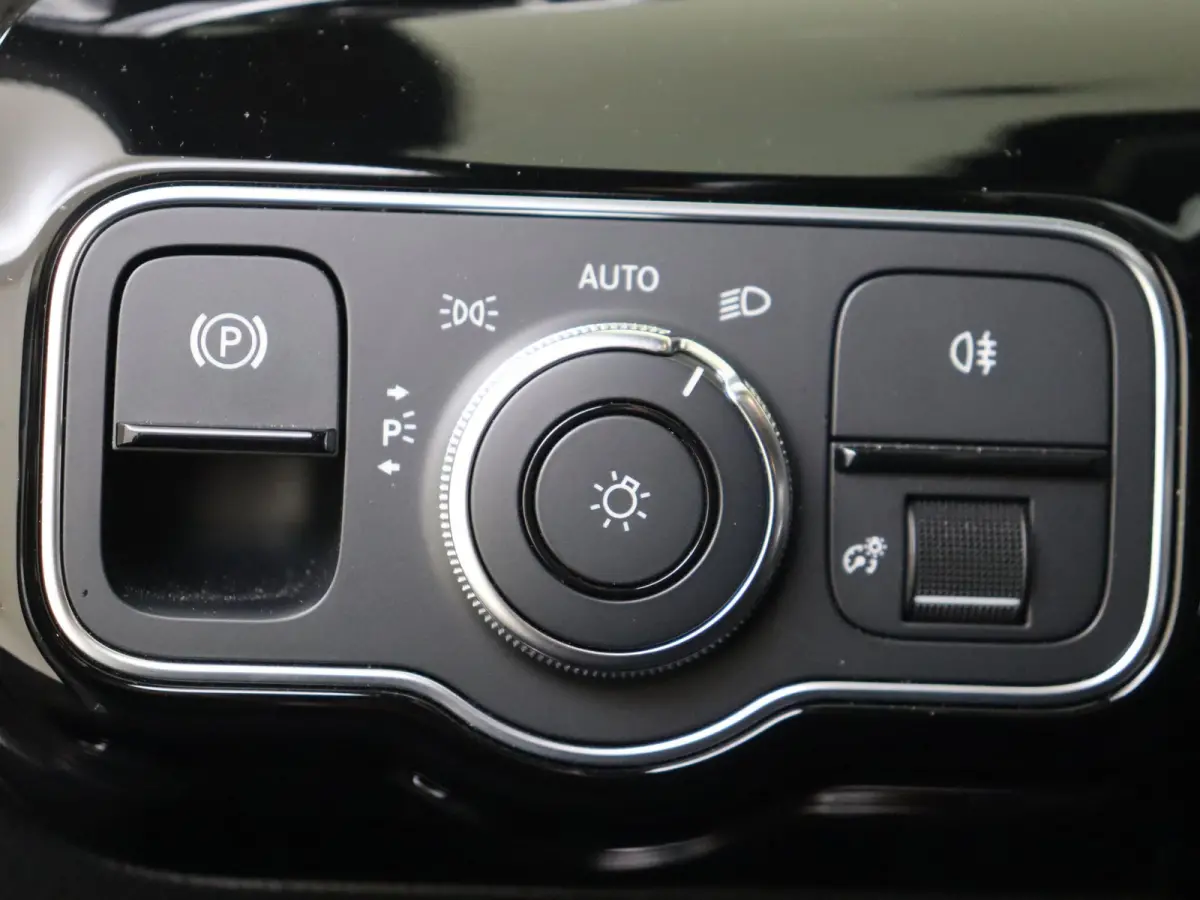 250 e Business Solution AMG Limited Mountaingrijs Magno /Panoramadak /Memory