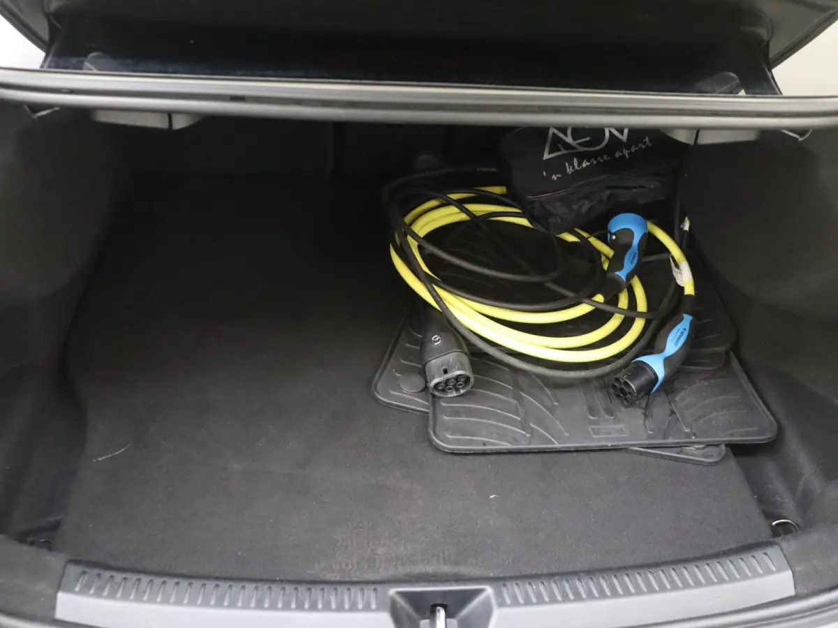 250 e Business Solution AMG Limited Mountaingrijs Magno /Panoramadak /Memory