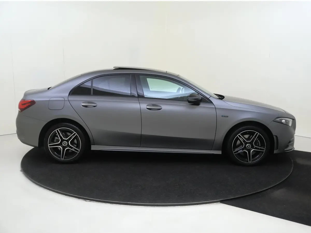 250 e Business Solution AMG Limited Mountaingrijs Magno /Panoramadak /Memory