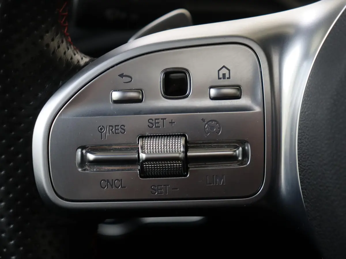 250 e Business Solution AMG Limited Mountaingrijs Magno /Panoramadak /Memory