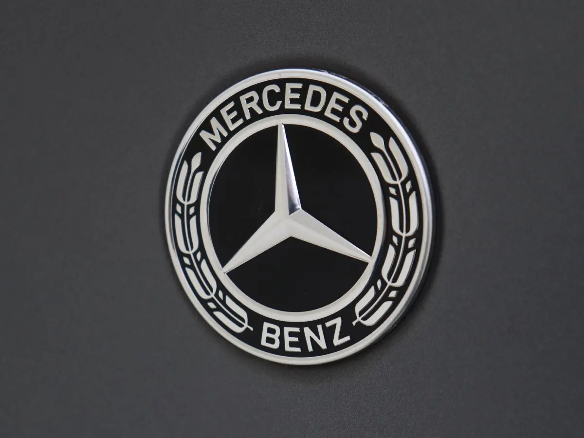 250 e Business Solution AMG Limited Mountaingrijs Magno /Panoramadak /Memory