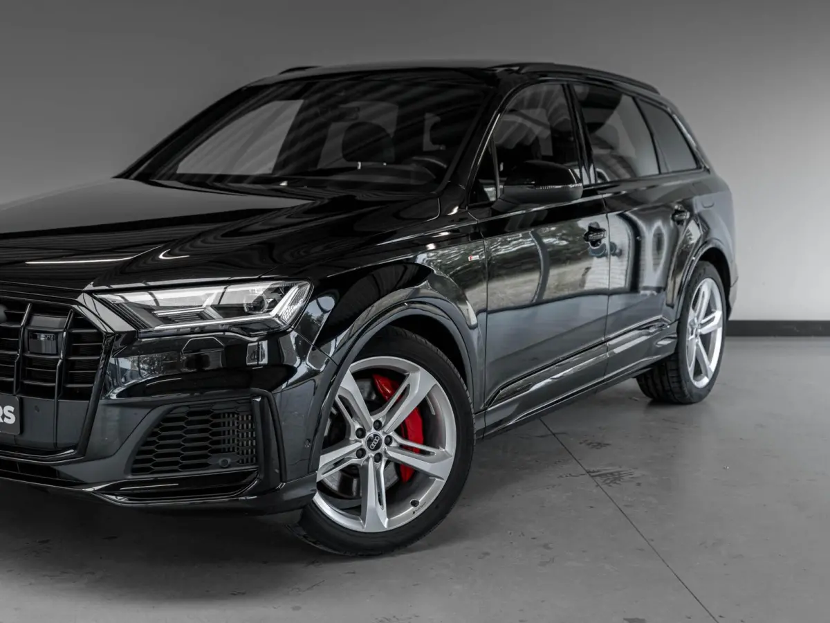 55 TFSI e quattro Pro Line S Panodak camera 21'