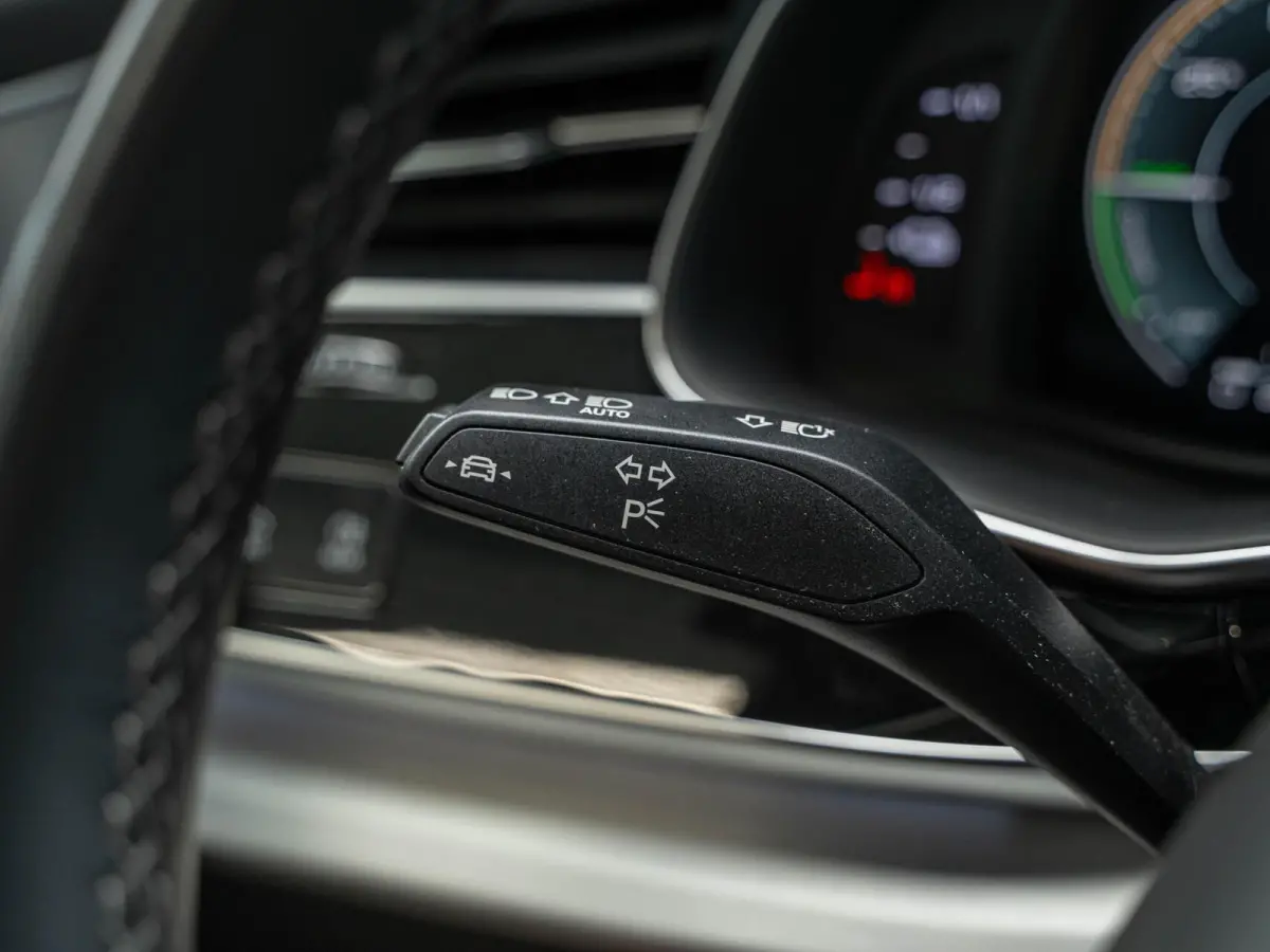 55 TFSI e quattro Pro Line S Panodak camera 21'