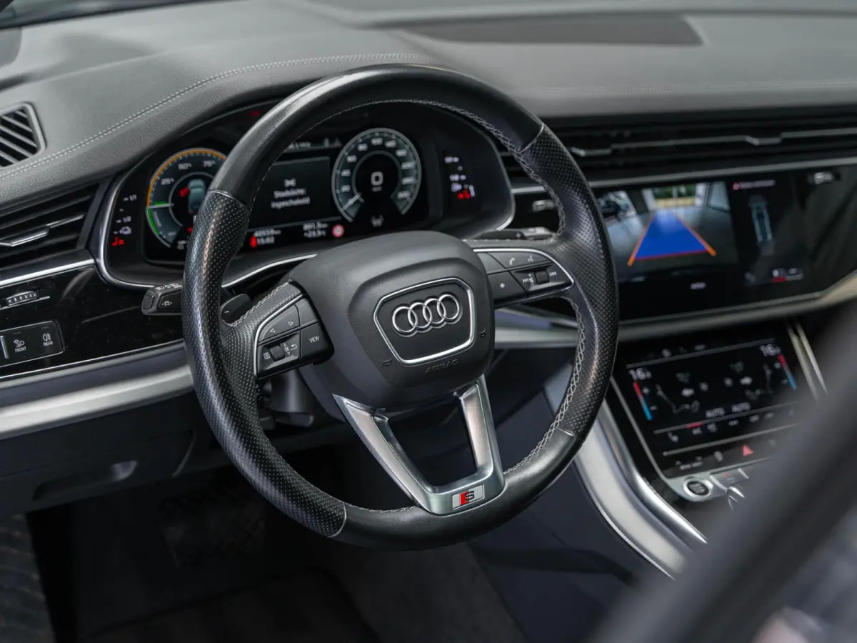 55 TFSI e quattro Pro Line S Panodak camera 21'