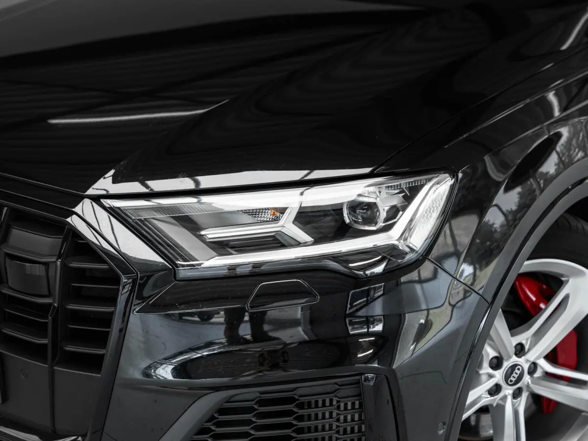 55 TFSI e quattro Pro Line S Panodak camera 21'